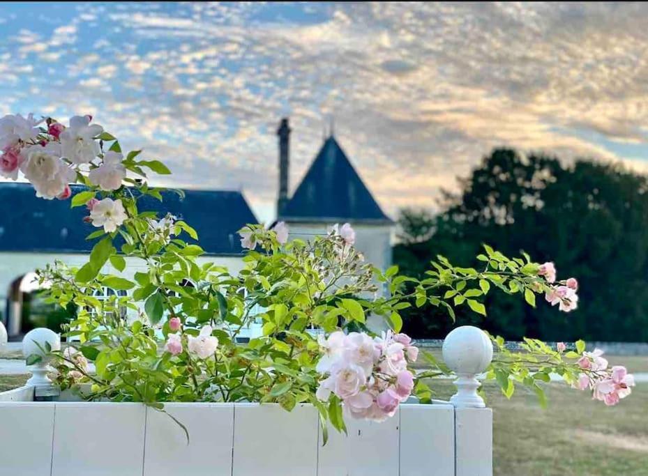 Charming Romantic Tower In Chateau Estate Ocquerre Buitenkant foto