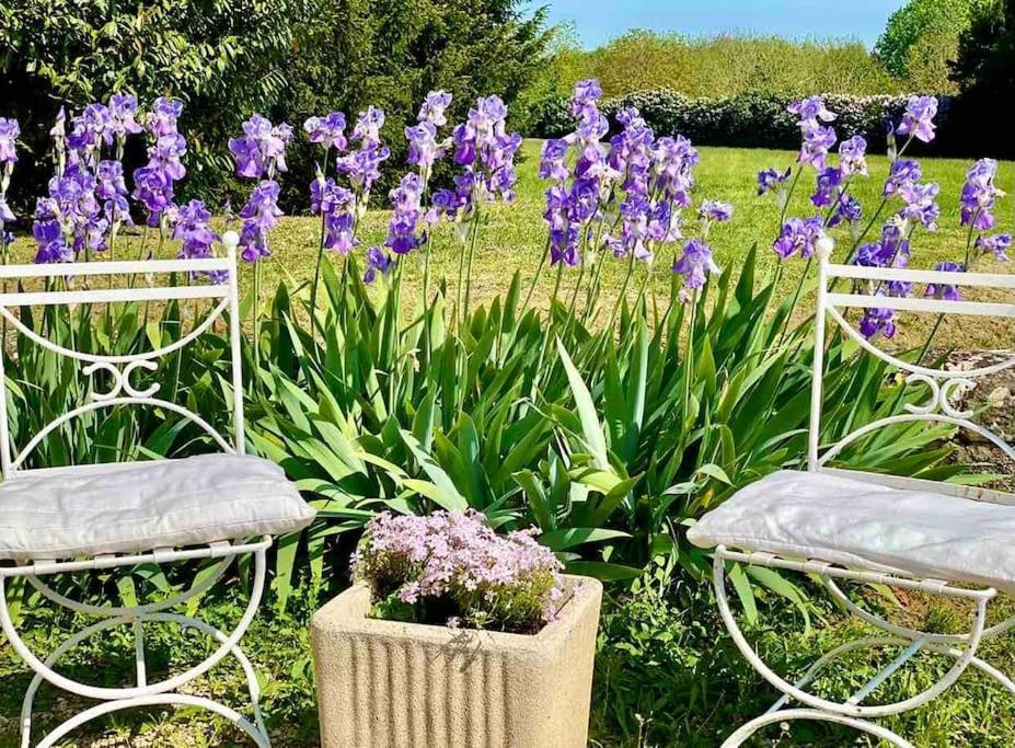 Charming Romantic Tower In Chateau Estate Ocquerre Buitenkant foto